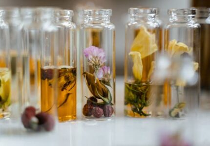 Close-up of assorted dry flowers immersed in glass vials, ideal for natural fragrance products.